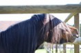 /album/timo/a2012-04-02-7-timo-jpg/